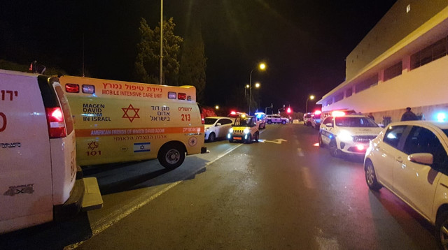 זירת האירוע (צילום: תיעוד מבצעי מד"א)