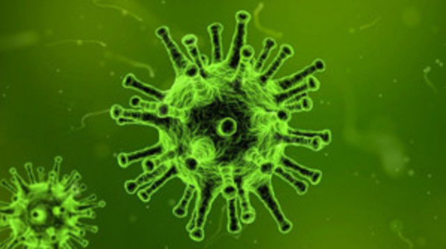 ווירוסים (צילום: Arek Socha)