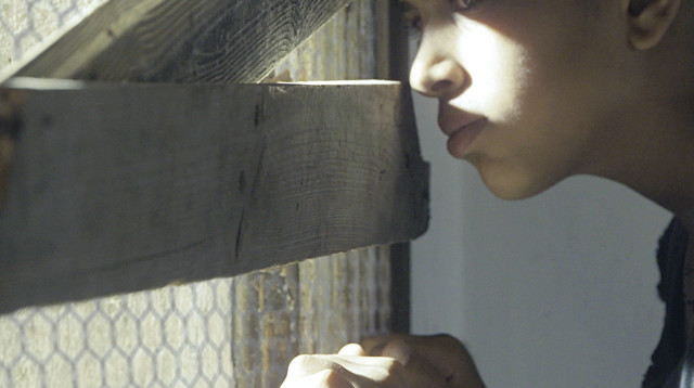 המתים של יפו (צילום: יורם מילוא)