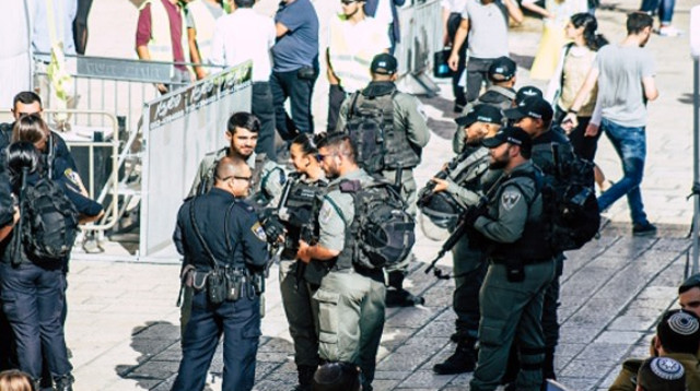 כוח משטרתי (צילום: שאטרסטוק)