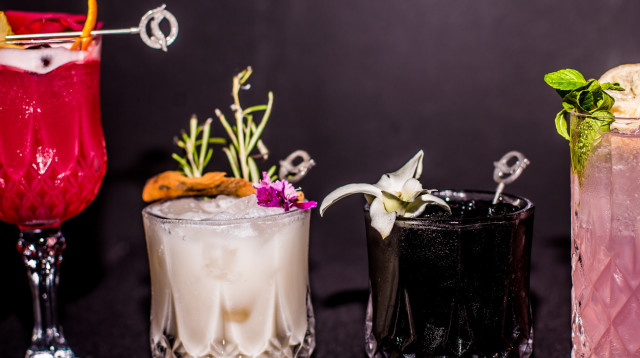 קוקטיילים על בסיס בלוגה (צילום: מיקה גורביץ)