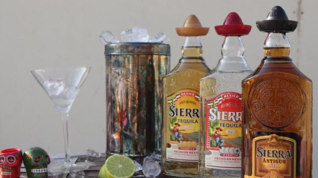 טקילה למרגריטה (צילום: איתי מילדוורט)