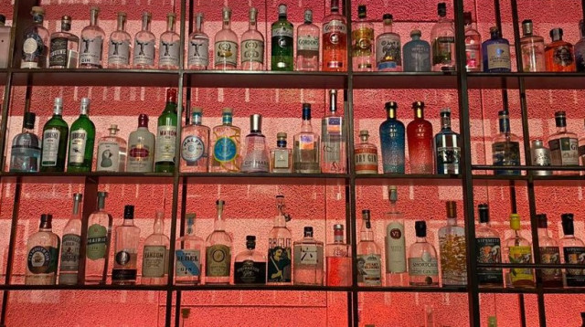 בר ג'ין (צילום: מאיה בר)