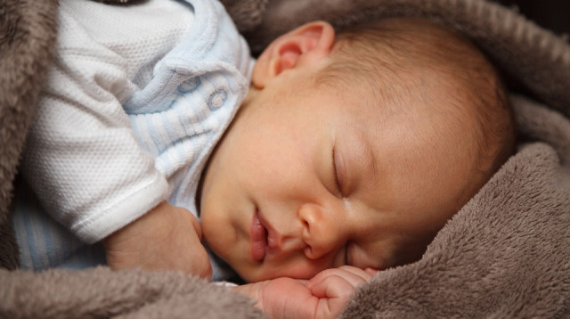 שמות לבנים (צילום: Pixabay)