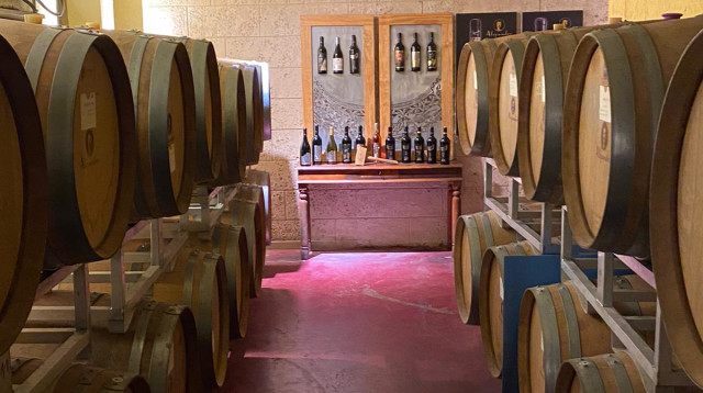 יקב אלכסנדר (צילום: טל ברגמן)