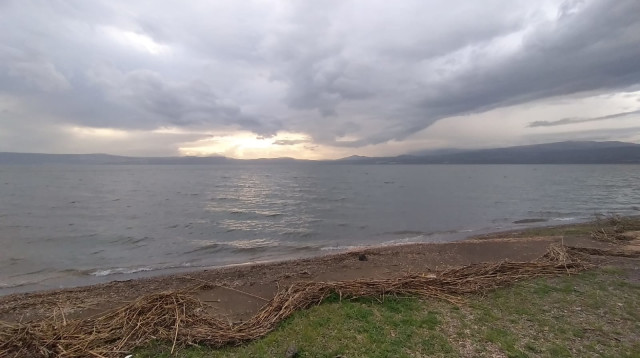 הכנרת  (צילום: איציק לוי- רשות הכנרת )