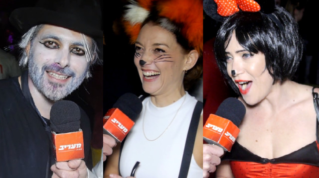 מיי פיינגולד (צילום: קיץ ברבנר)