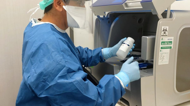 בדיקות מעבדה לנגיף הקורונה (צילום: דוברות בית החולים פוריה)