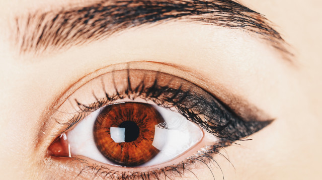 אירידיולוגיה (צילום: ingimages.com)