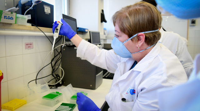 בדיקות קורונה בבית החולים ברזילי (צילום: פלאש 90)