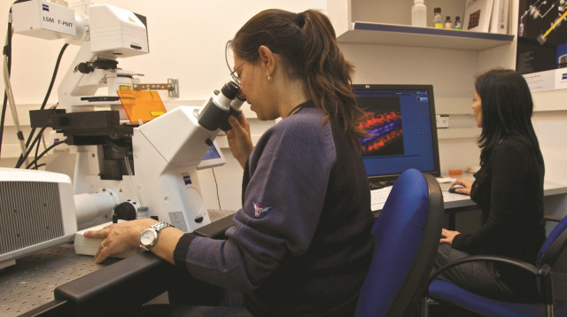 מדענים במכון ויצמן (למצולמים אין קשר לכתבה) (צילום: דורון הורוביץ, פלאש 90)