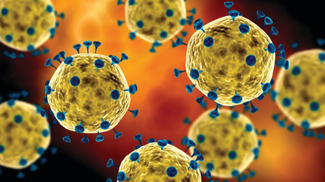 קורונה (צילום: יח"צ)