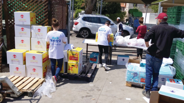 חלוקת מזון לפסח (צילום: באדיבות ארגון "לתת")