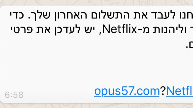 הודעת פישינג המתחזה לנטפליקס (צילום: דוברות המשטרה)