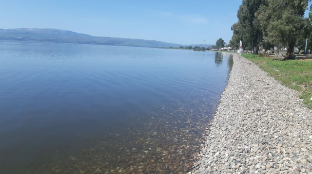 אגם הכנרת מלא ושומם בימי קורונה (צילום: שי מזרחי, רשות הכנרת)