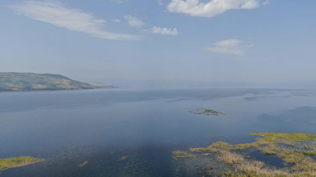 מפלס הכנרת  (צילום: שי מזרחי, רשות הכינרת)