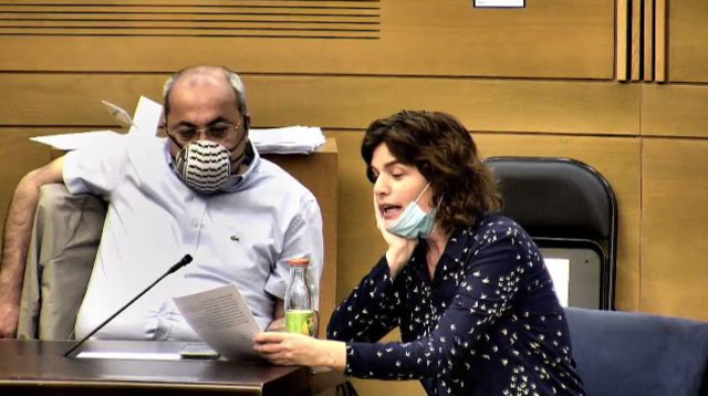 תמר זנדברג (צילום: צילום מסך)