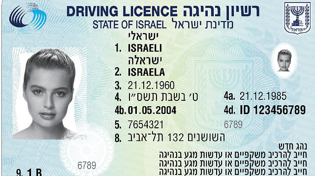 רישיון נהיגה (אילוסטרציה) (צילום: משרד התחבורה)