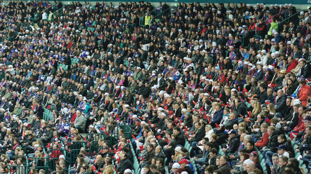 קהל במגרש כדורגל (צילום: אינגאימג')