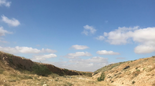 ערוץ נחל יתיר  (צילום: יאיר גת )