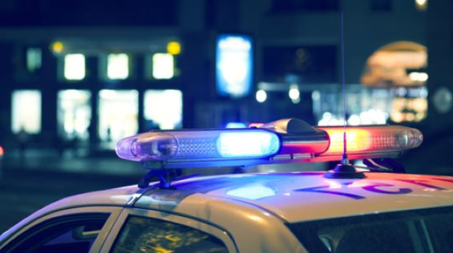 ניידת משטרה (צילום: שאטרסטוק)