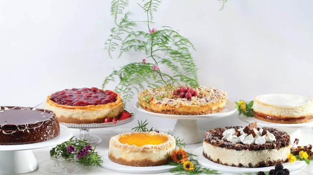 שבועות ב"ביסקוטי" (צילום: בועז לביא)