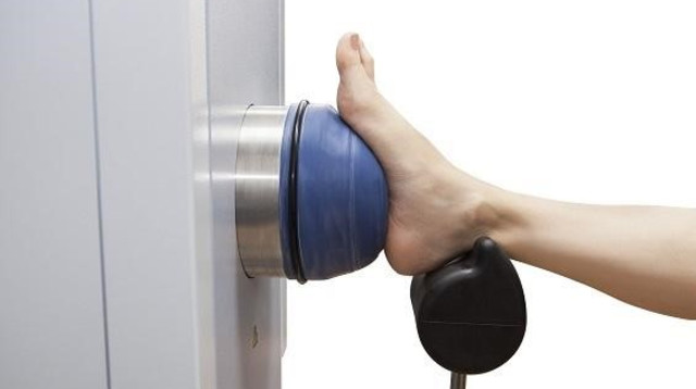 דורבן (צילום: חברת מדיספק)