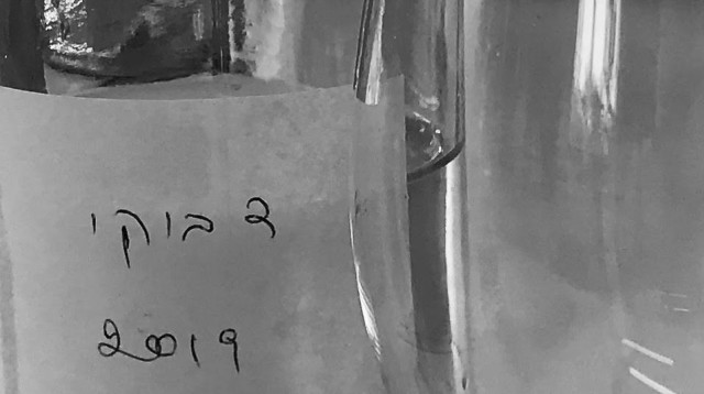 דבוקי 2019, ברקן-סגל  (צילום: סנהדרינק)