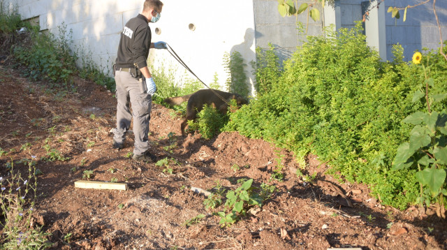פרשת הנחת המטענים במגדל העמק (צילום: דוברות המשטרה)