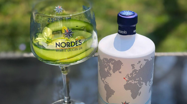 ג'ין, טוניק ופירות  (צילום: יח"צ)