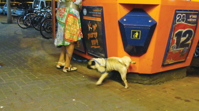 דוכן פיס (צילום: נתן זהבי)