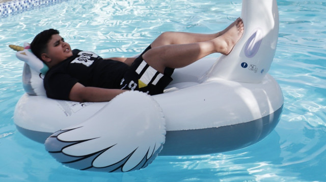 דקל וקנין (צילום: טוהר זנתי)