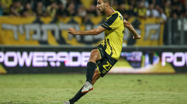 תמיר עדי (צילום: מאור אלקסלסי)