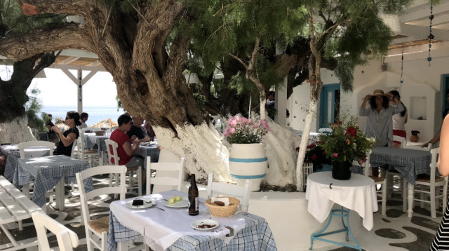 לשמיעת הקולות של פיראוס, הצמידו כוס אוזו לאוזן (צילום: טליה לוין)