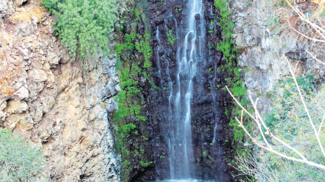 נחל ג'ילבון (צילום: דן סיידה)