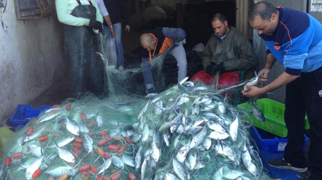 דייגים בישראל (צילום: איגוד הדייגים)