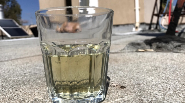 שבלי. לבד על הגג  (צילום: טליה לוין)