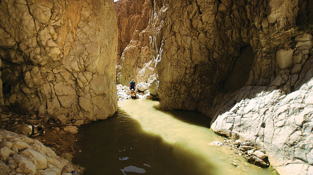 נחל אשלים (צילום: הדר יהב)
