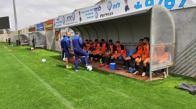 סקציה נס ציונה (צילום: סקציה נס ציונה)