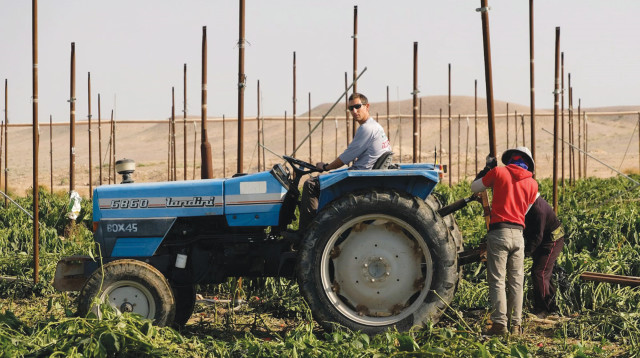 חקלאות בערבה (צילום: חוות בית השיטין)