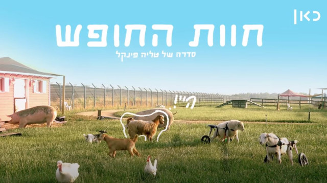 הסדרה "חוות החופש" (צילום: צילום מסך "כאן")