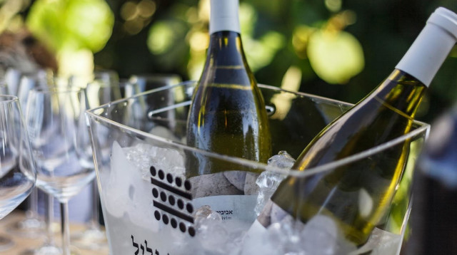 שישי גלילי ביקב הרי גליל  (צילום: יח"צ)