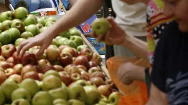 תפוחים (צילום: מיכל פתאל, פלאש 90)