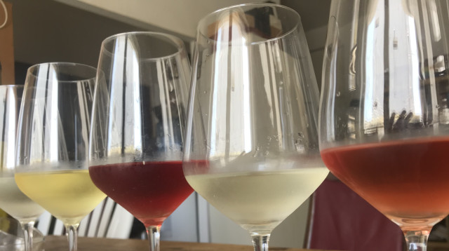 טעימת לבנים ורוזה  (צילום: סנהדרינק)