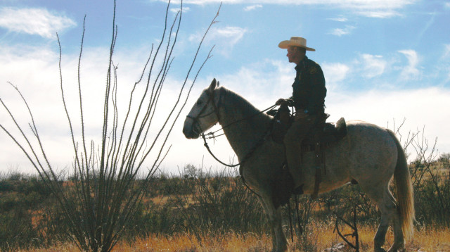 מדינת אריזונה בארה"ב (צילום: רויטרס)
