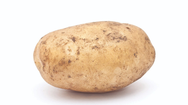 תפוח אדמה, אילוסטרציה (צילום: אינג אימג')