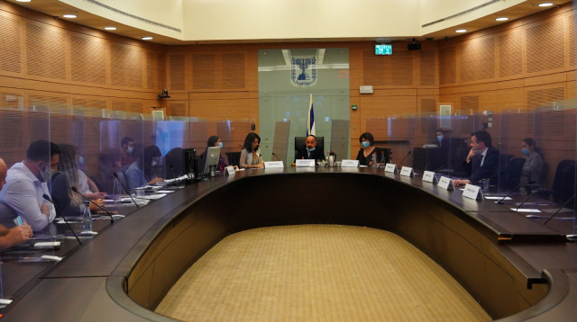 דיון בוועדת הכלכלה (צילום: עדינה ולמן, דוברות הכנסת)