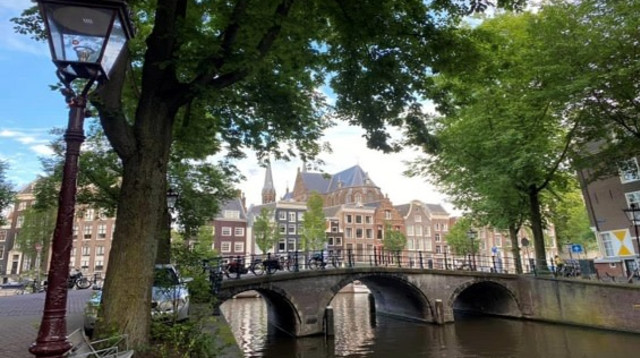 הולנד (צילום: תמיר עמילוב)