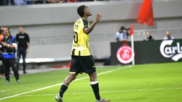 פרדי פלומיין (צילום: אריאל שלום)