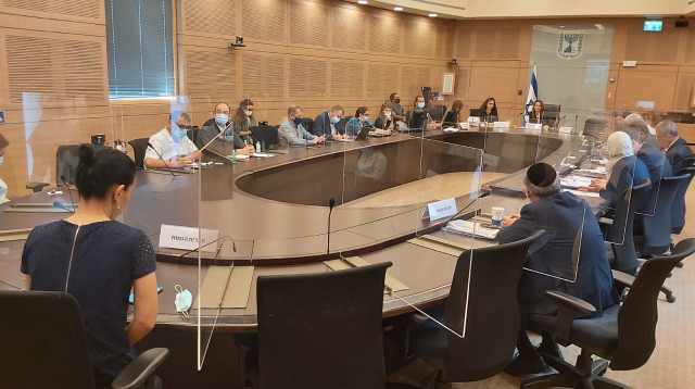הדיון בוועדת הקורונה (צילום: דוברות הכנסת)